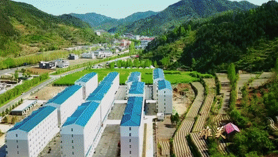 202005181109250039.gif