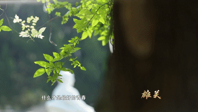202005181113477246.gif