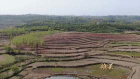 202005181635194807.gif