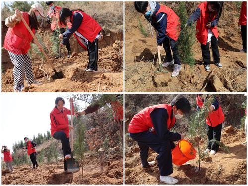 4.师生们合理分工植树 4.师生们合理分工植树