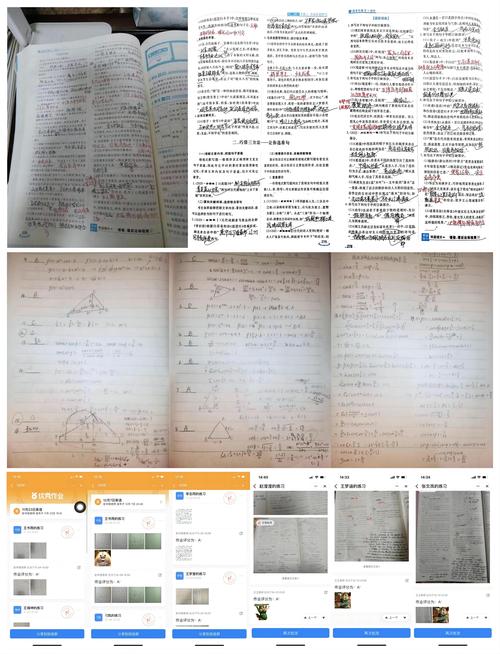 1.优秀语文、数学、英语作业展示 1.优秀语文、数学、英语作业展示
