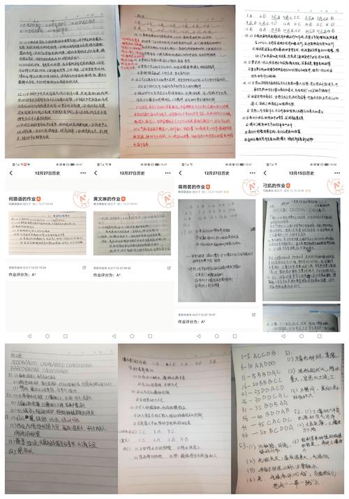 2.优秀政治、历史、地理作业展示 2.优秀政治、历史、地理作业展示