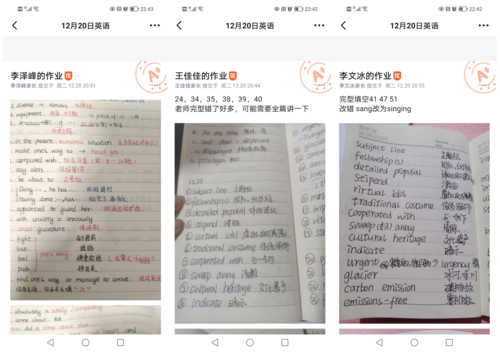 学生在钉钉作业本与老师互动 学生在钉钉作业本与老师互动