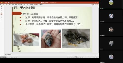 方圆水景社线上社团活动 方圆水景社线上社团活动