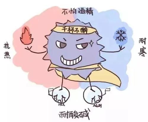 5 5