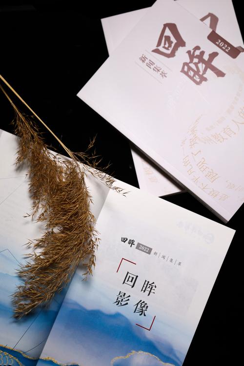 《回眸2022》面世 《回眸2022》面世