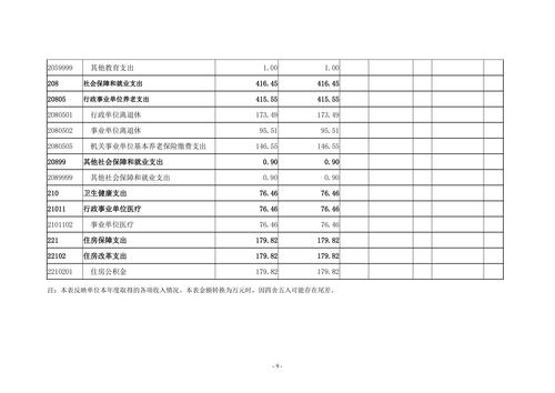 2022年度taptap滚球校决算_08
