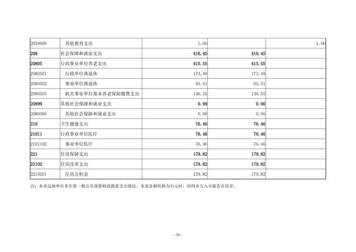 2022年度taptap滚球校决算_15