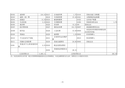 2022年度taptap滚球校决算_17