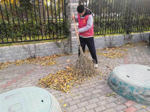 5清扫落叶 5清扫落叶