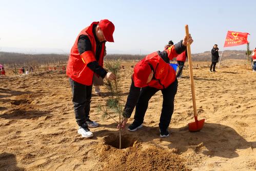 2栽下一棵小树苗 2栽下一棵小树苗