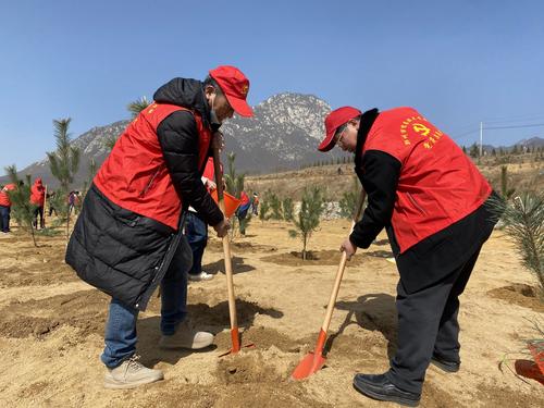 3教师分组合作植树 3教师分组合作植树
