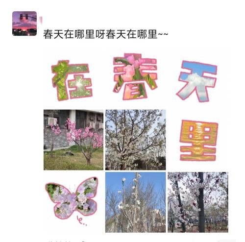 9学生在朋友圈分享照片 9学生在朋友圈分享照片