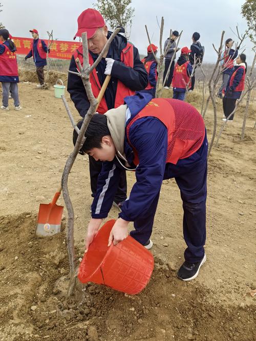 5为树苗浇水 5为树苗浇水