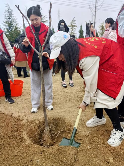 4填土 4填土