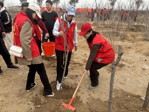 4填土压实 4填土压实