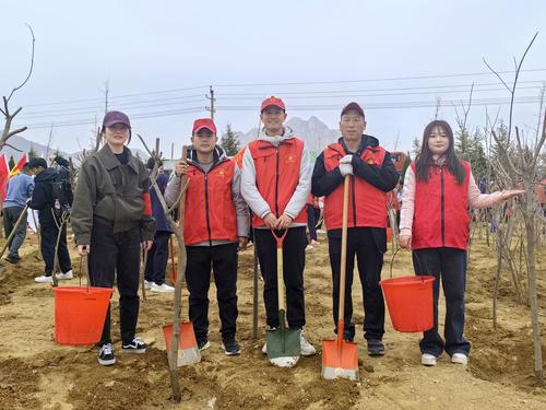 6和栽下的小树全景合个影 6和栽下的小树全景合个影