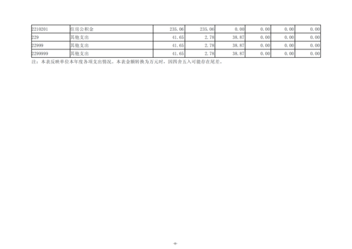 2024年度taptap滚球校决算_11