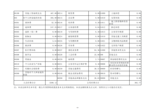 2024年度taptap滚球校决算_17
