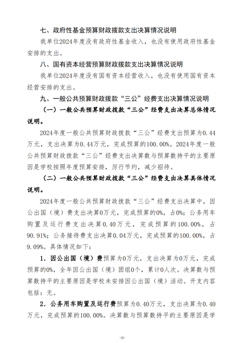 2024年度taptap滚球校决算_25