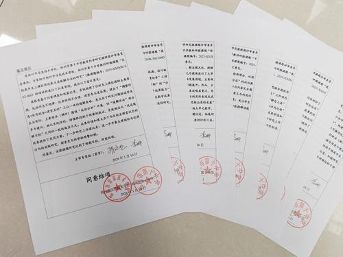 3.专家鉴定意见