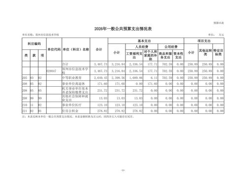 2026年taptap滚球校单位预算公开_15