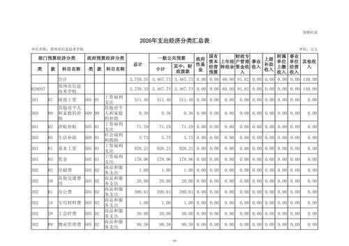 2026年taptap滚球校单位预算公开_18