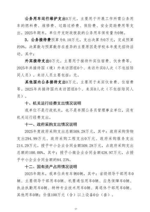 2025年度taptap滚球校单位决算_26